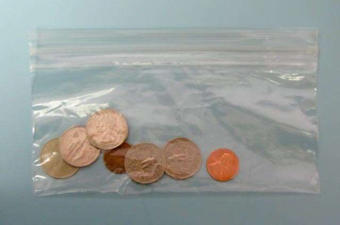 Fig3 Coins in Bag.png