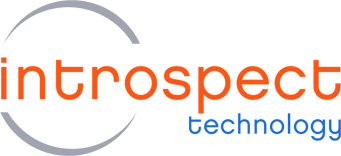 Introspect_Rev logo